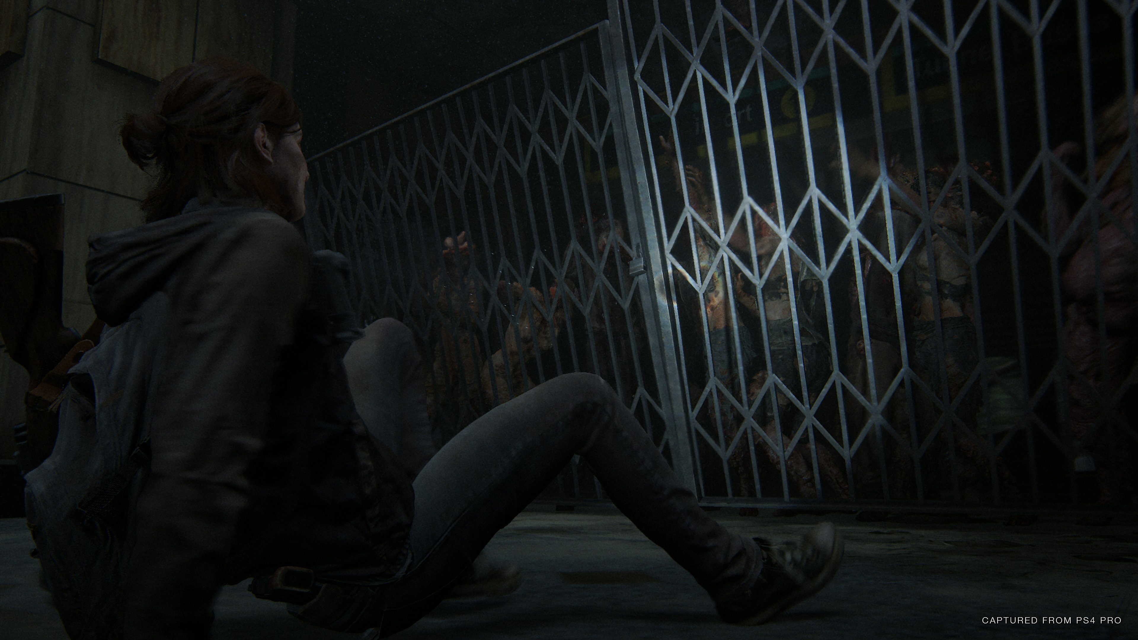 The Last of Us: Parte II - Imagen 34